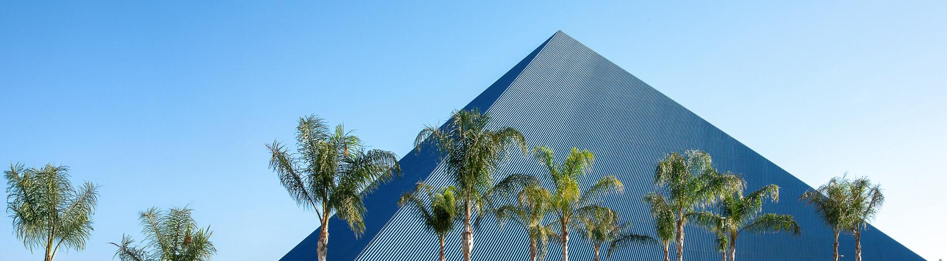pyramid and palm trees