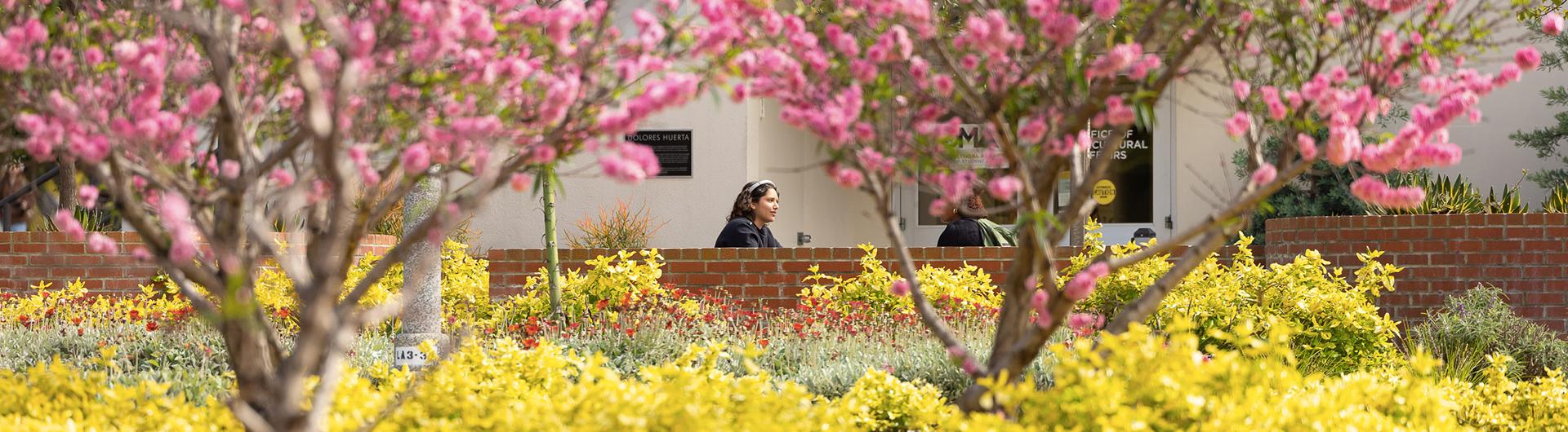 campus flowers