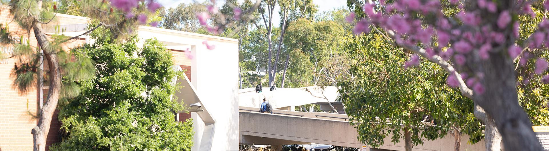 campus image