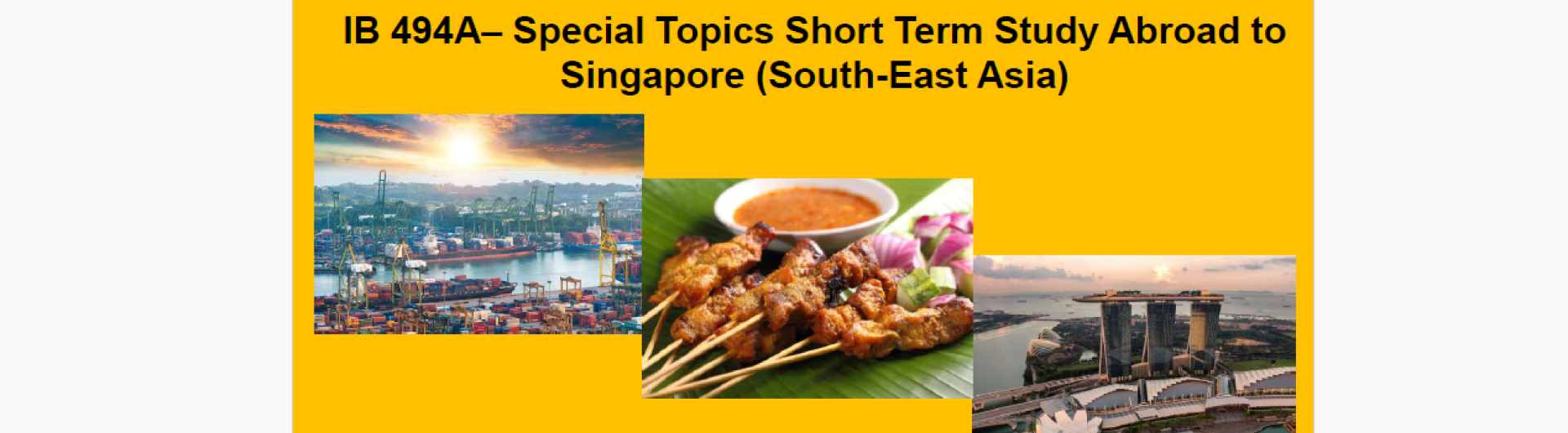 IB 494A Internatonal Special Topic Short Term study abroad 2025