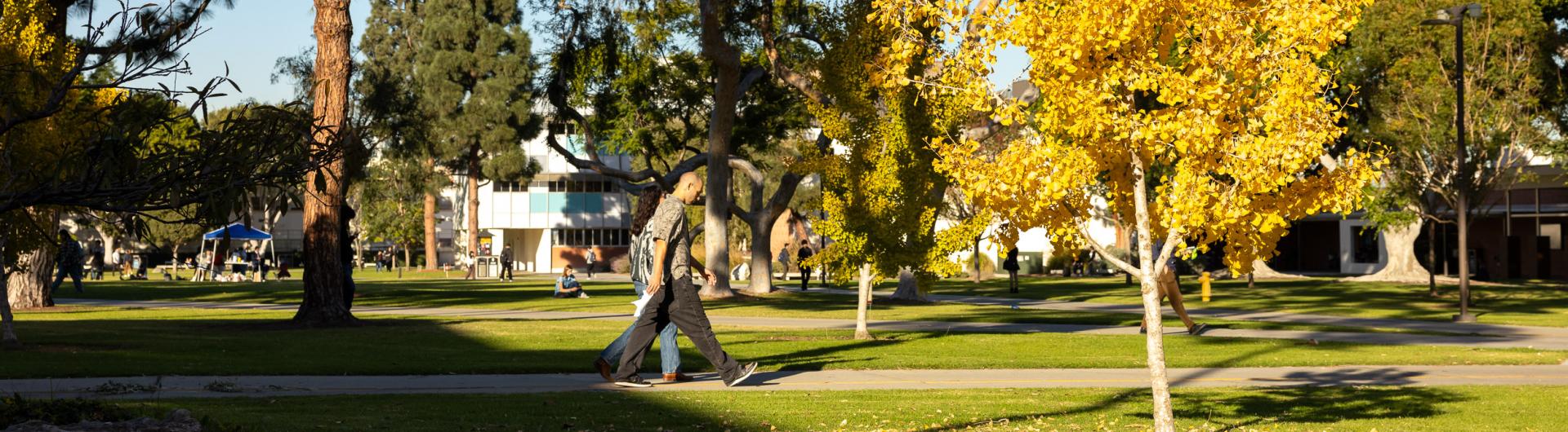 Two people walk on a path with a yellow tree
