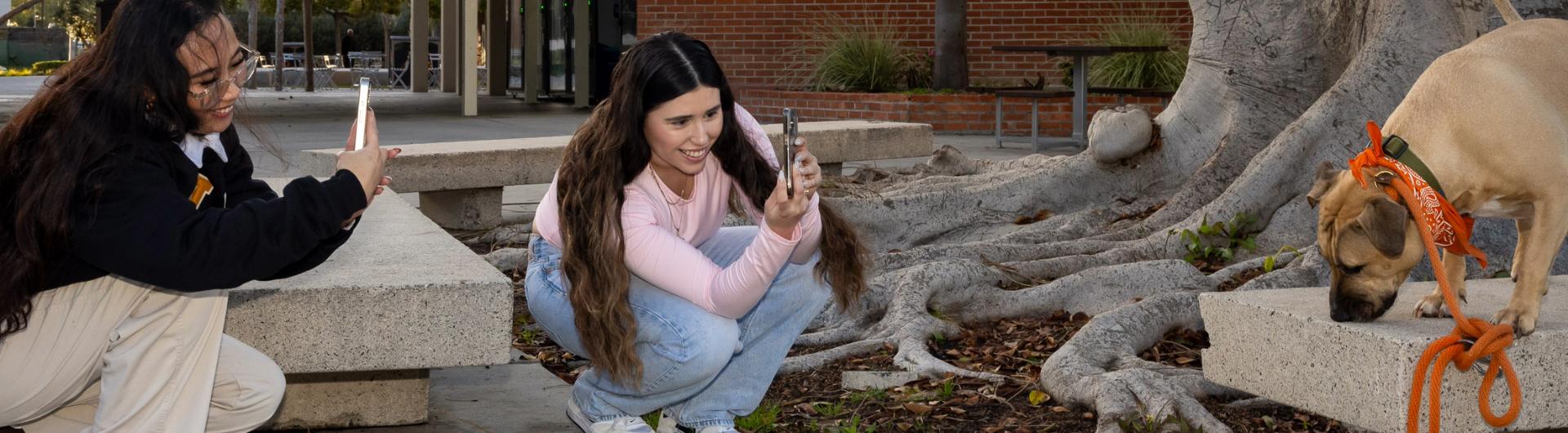 Two students crouch near a bench photographing the dog as it sniffs the surface.