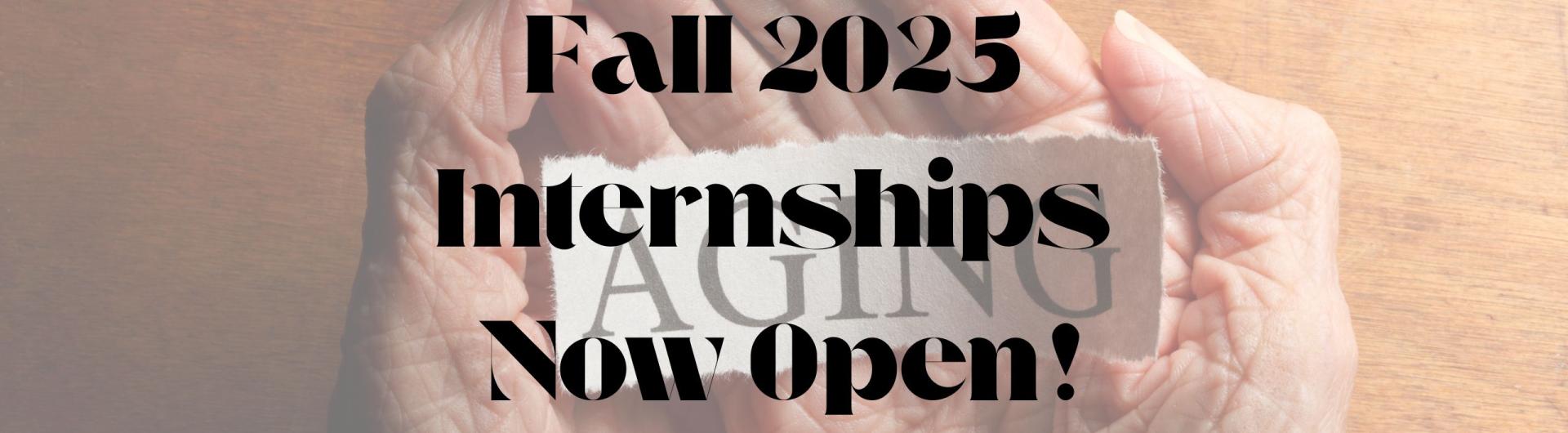 CSA Fall 2025 Internships1