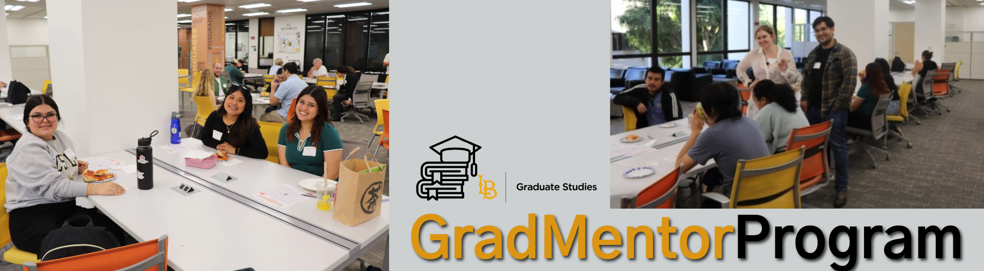 GradMentor Logo (Decorative)