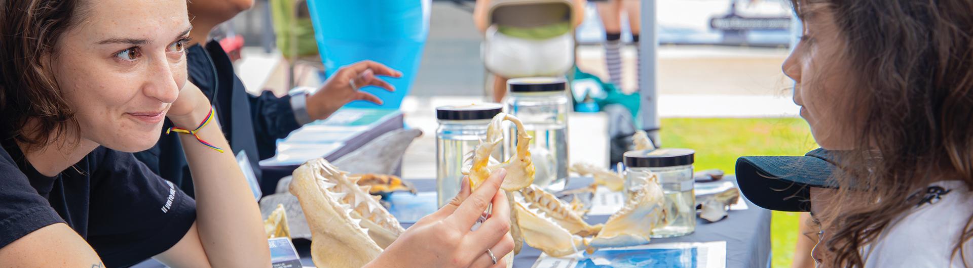 A person shows a shark jawbone to a child at a table with marine specimens