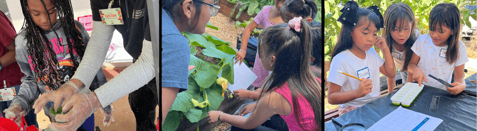 Participants of Harvesting Healthy Habits program