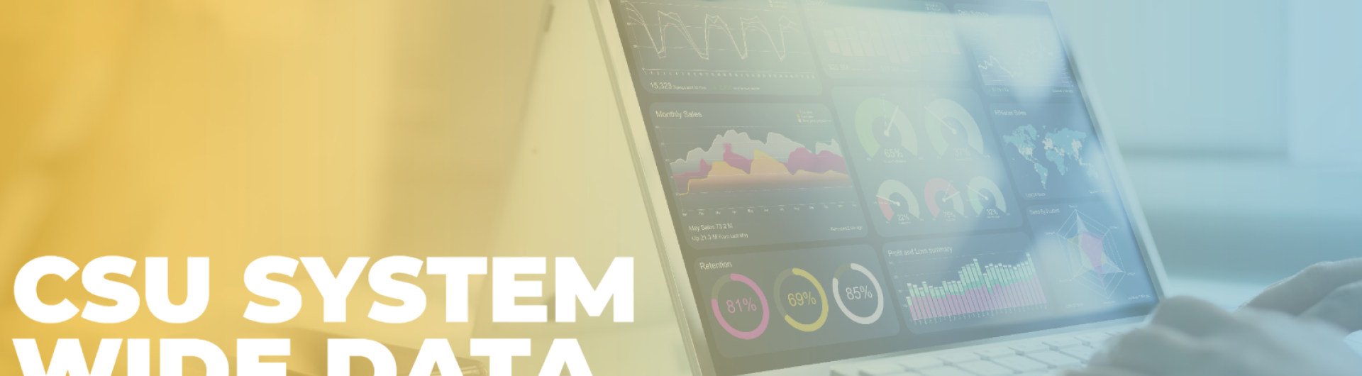 Yellow banner image with the label "CSU System Wide Data"