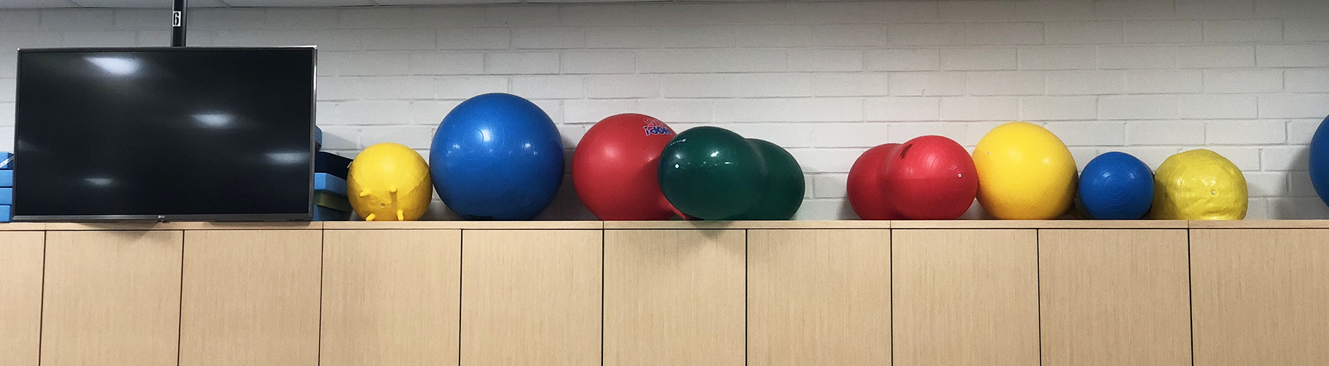 Physical therapy exercise balls