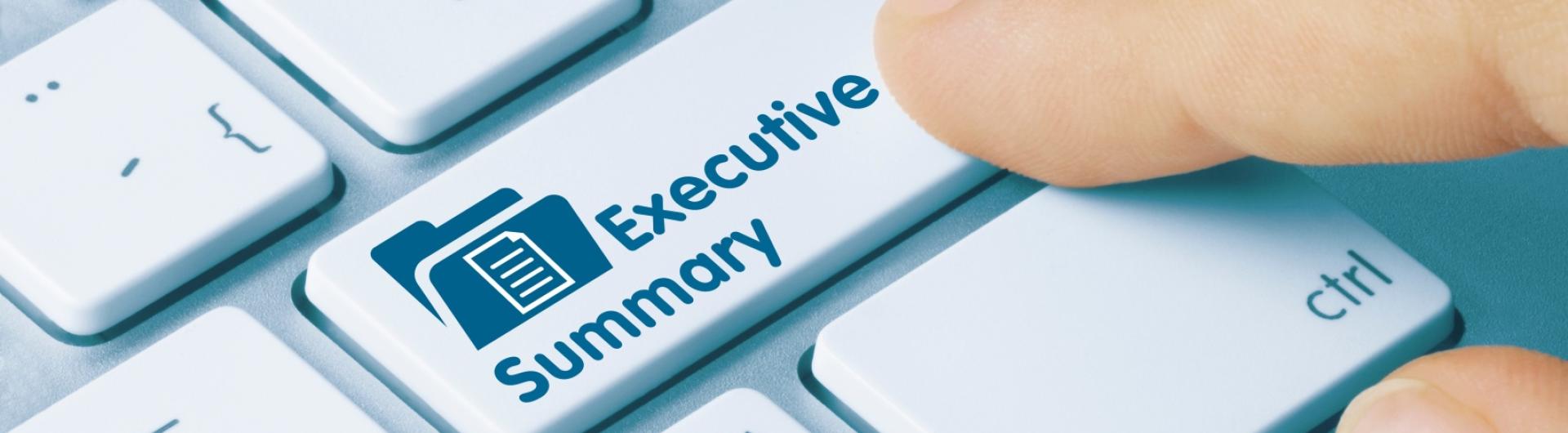 Executive Summary Banner