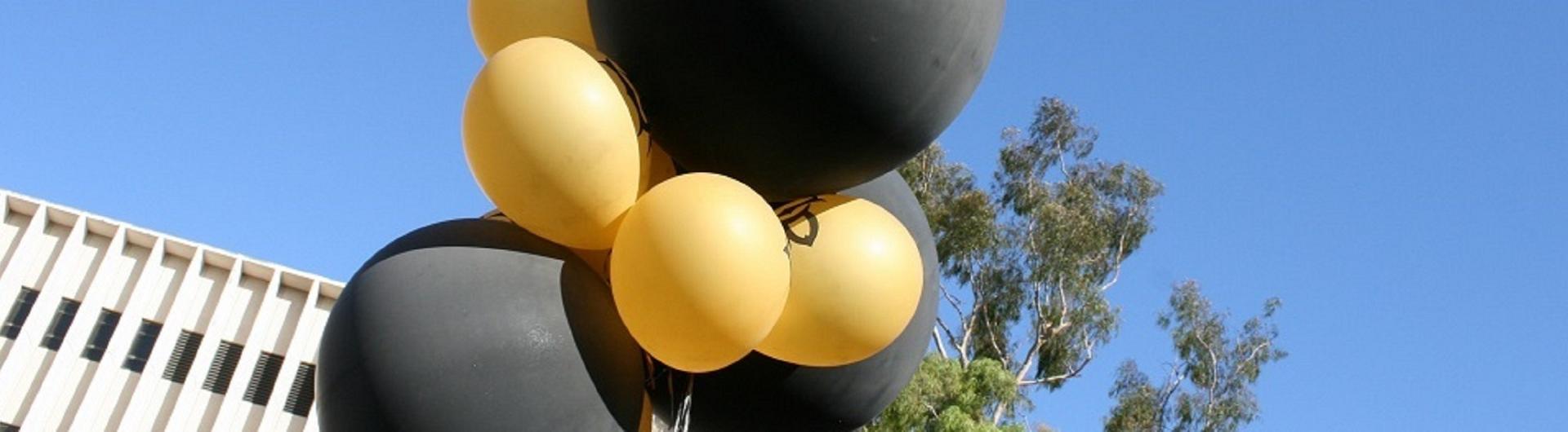 Balloons in the air near Engineering buildings