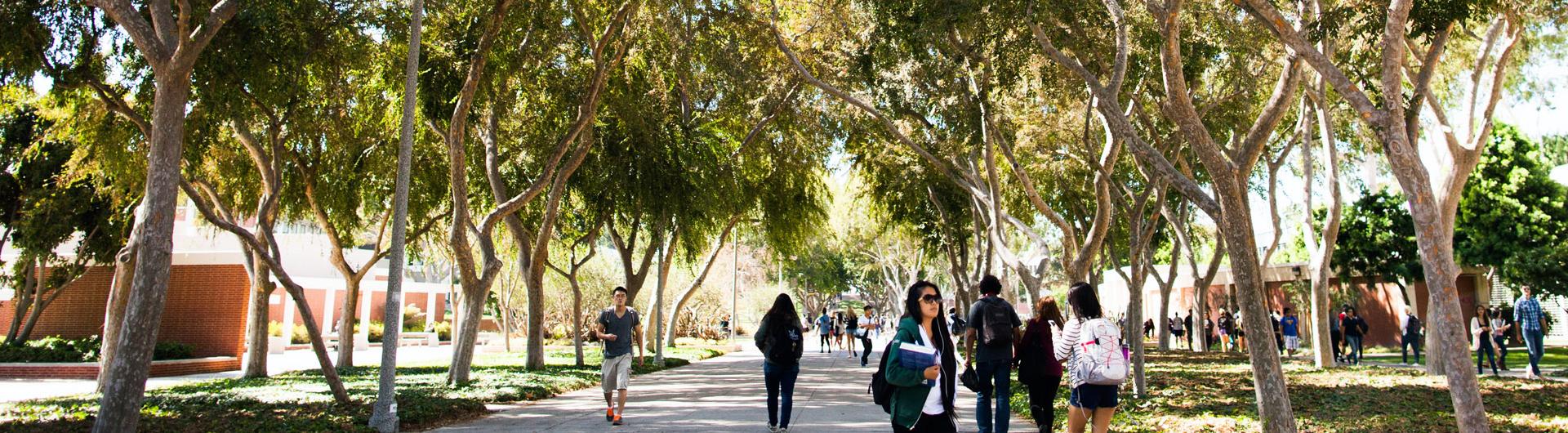 Students walking on campus