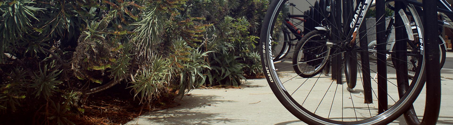 Close up of bike racks