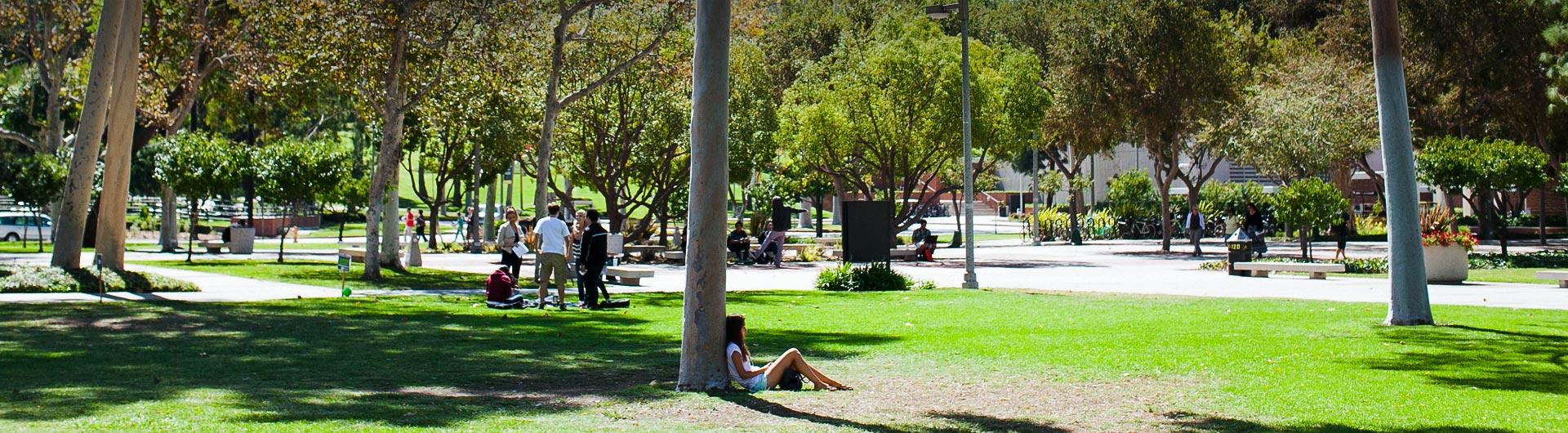 Students on campus