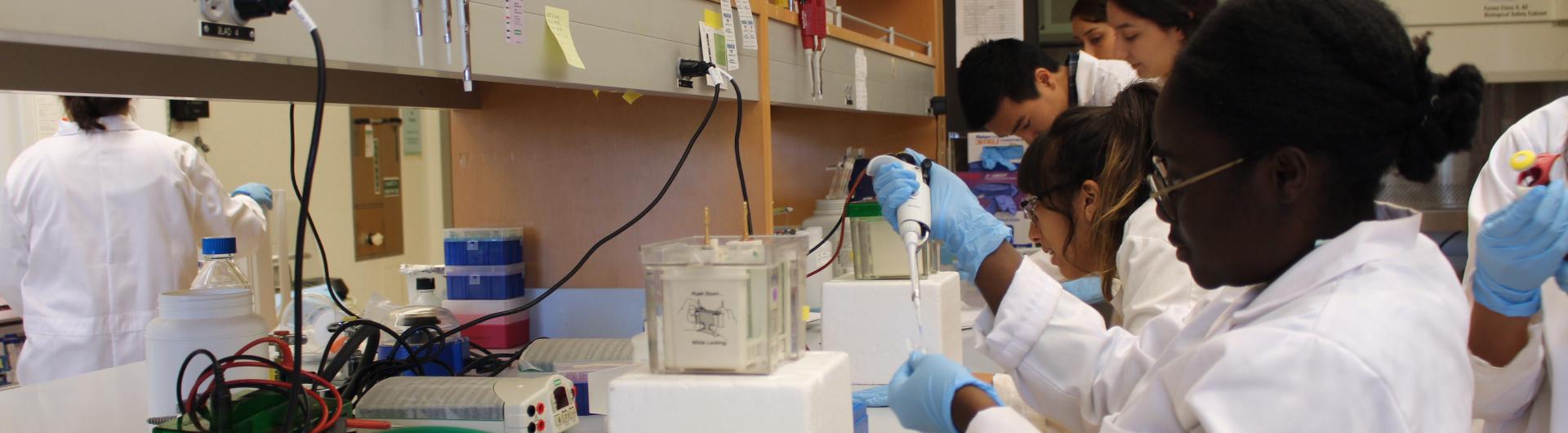 students working in a research lab