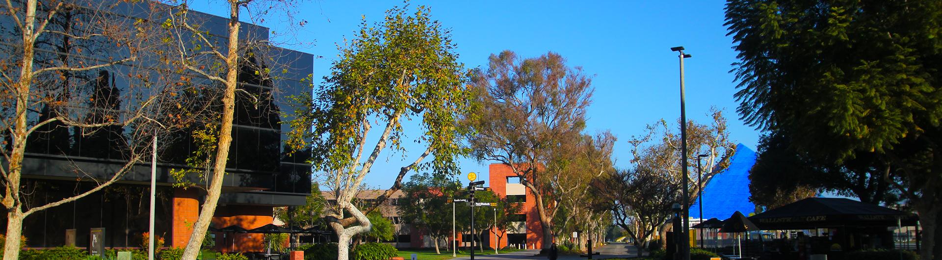 CBA Landscape with Parking Lot and Pyramid in Background