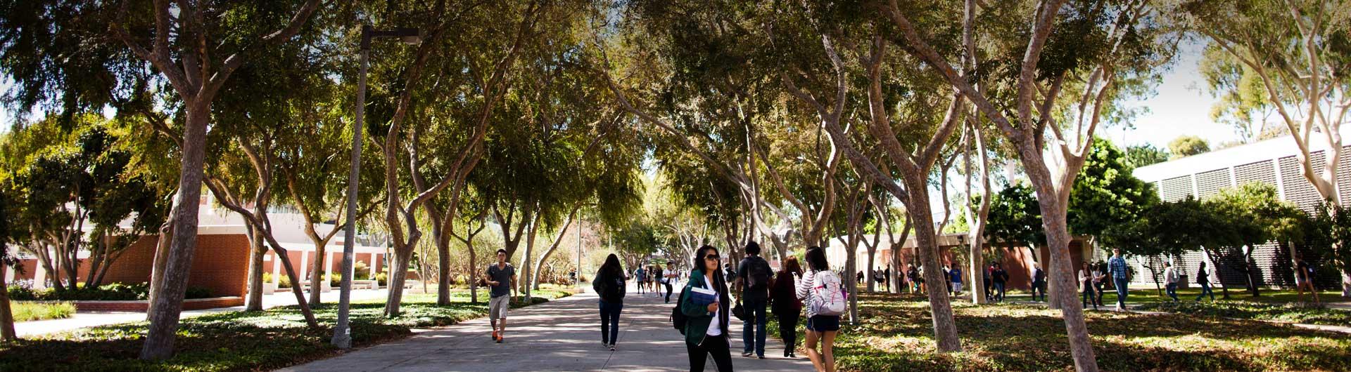 Students walking on campus