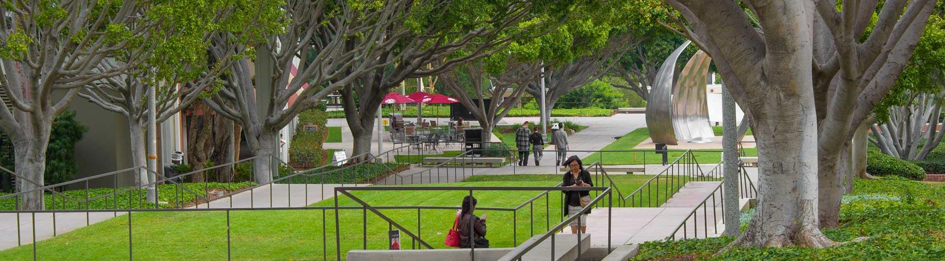 Schedule An Appointment California State University Long Beach