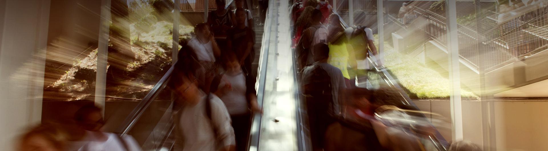 Students going up and going down the escalator.