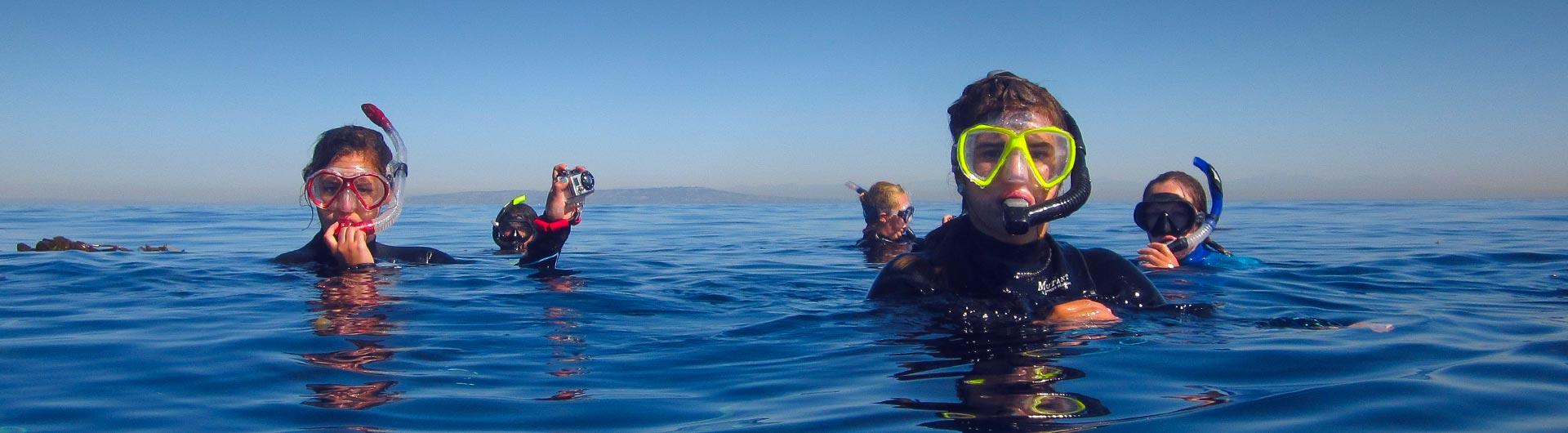 Marine Biology students in the ocean