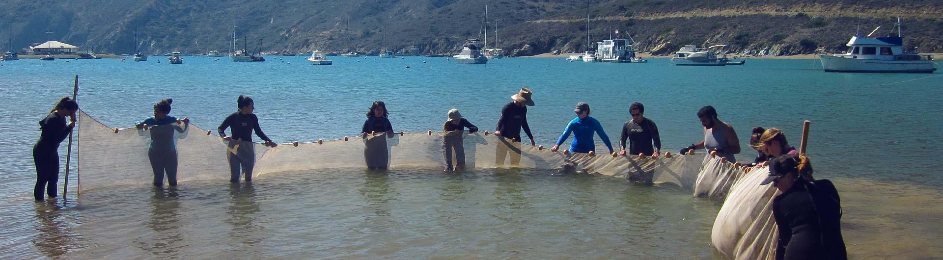 Students working in the water