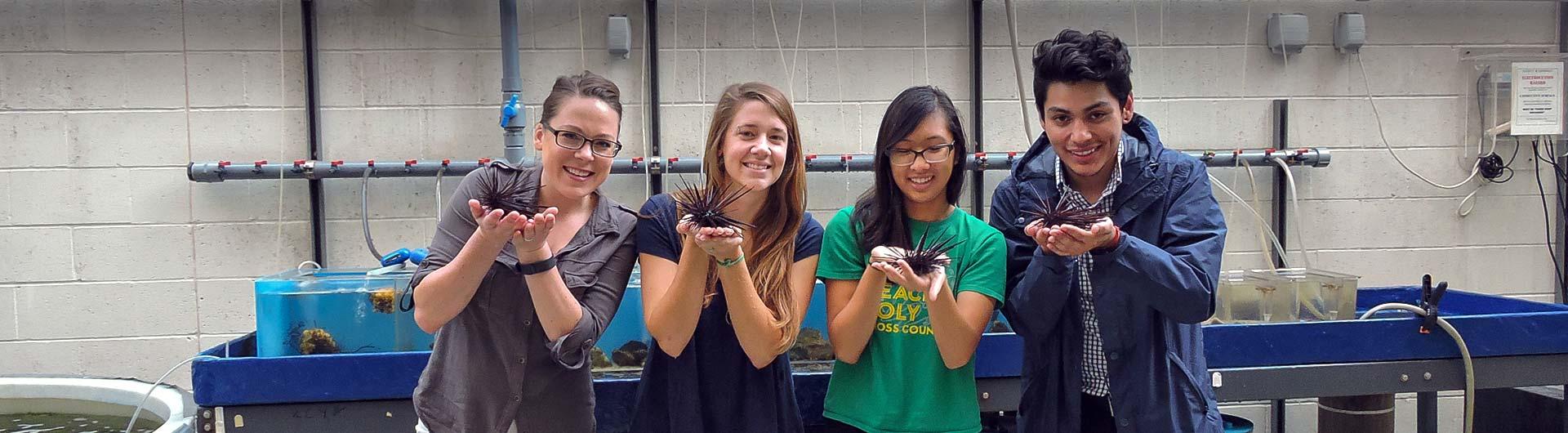 Students in lab environment