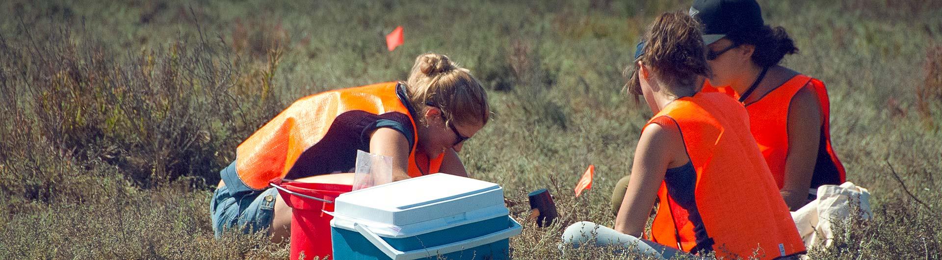 Master of Science in Biology Marine Biology Biological Sciences Department California