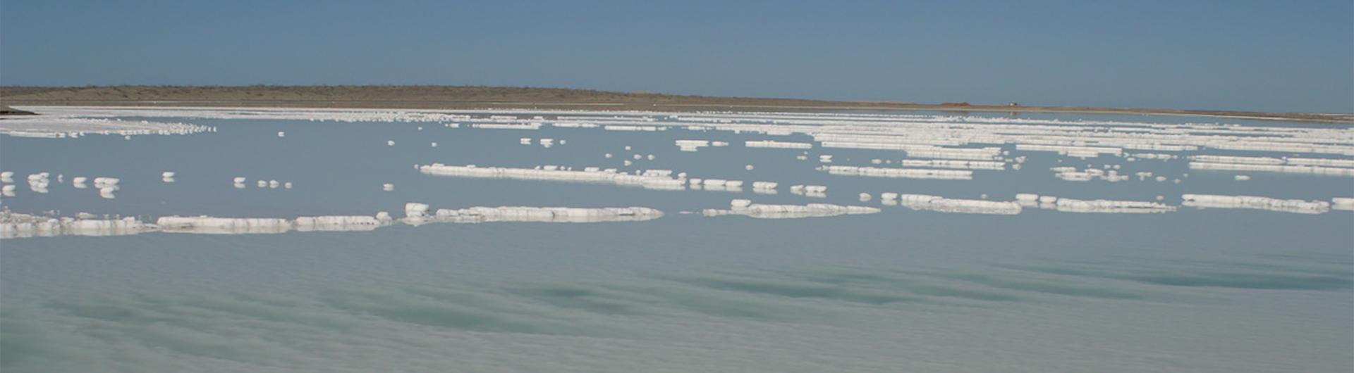 ESSA salterns, Guerrero Negro, Baja California