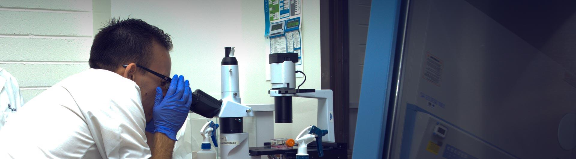 Students in the lab