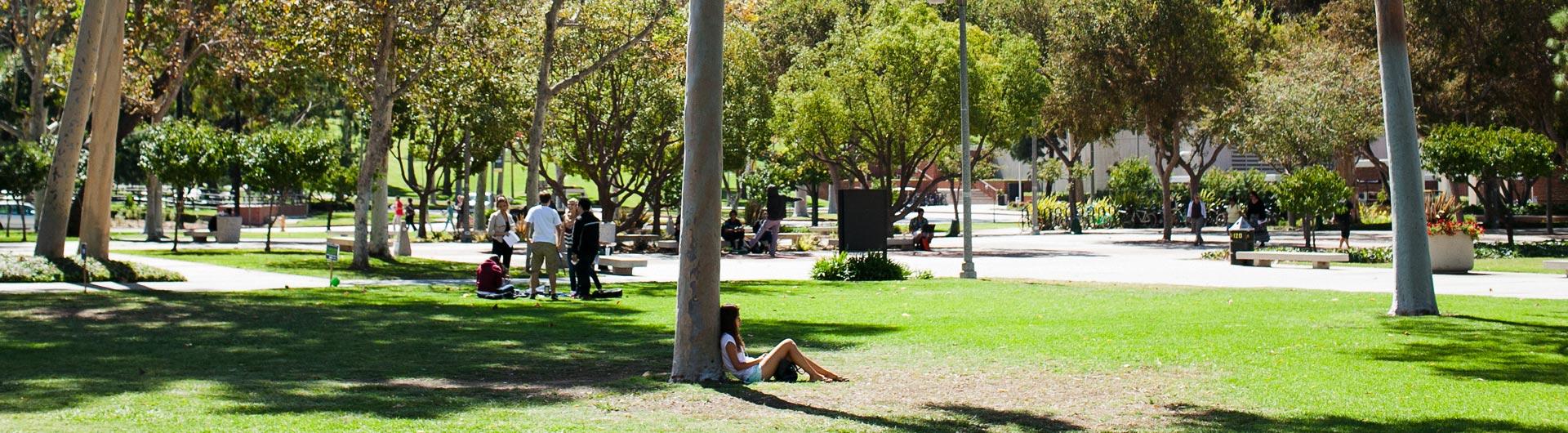 Student resting on a tree