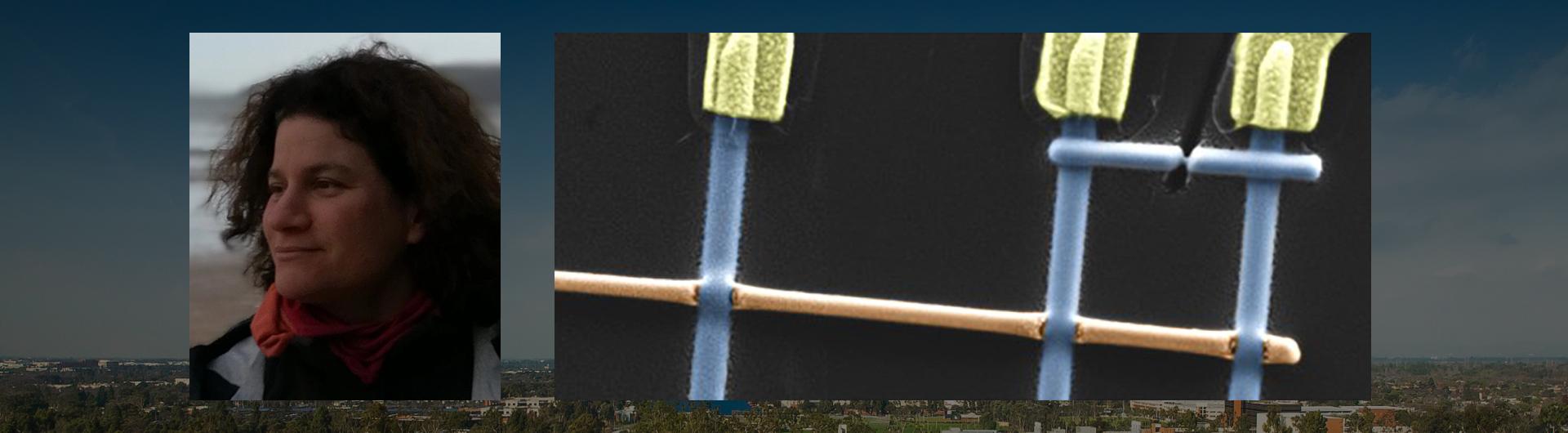 Sophie Gueron and bismuth nanowire