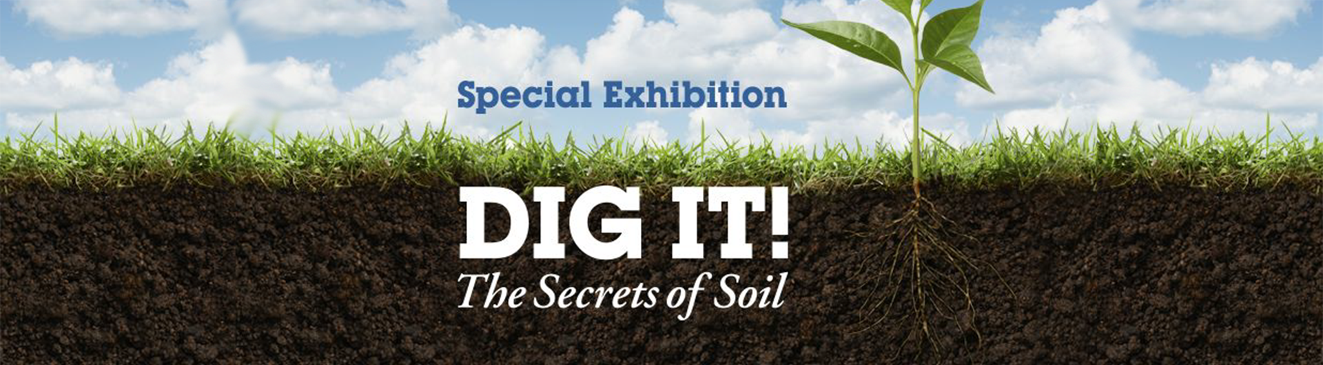 Special Exhibition - Dig It! The Secrets of Soil