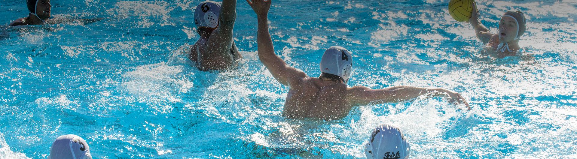 Men's Water Polo