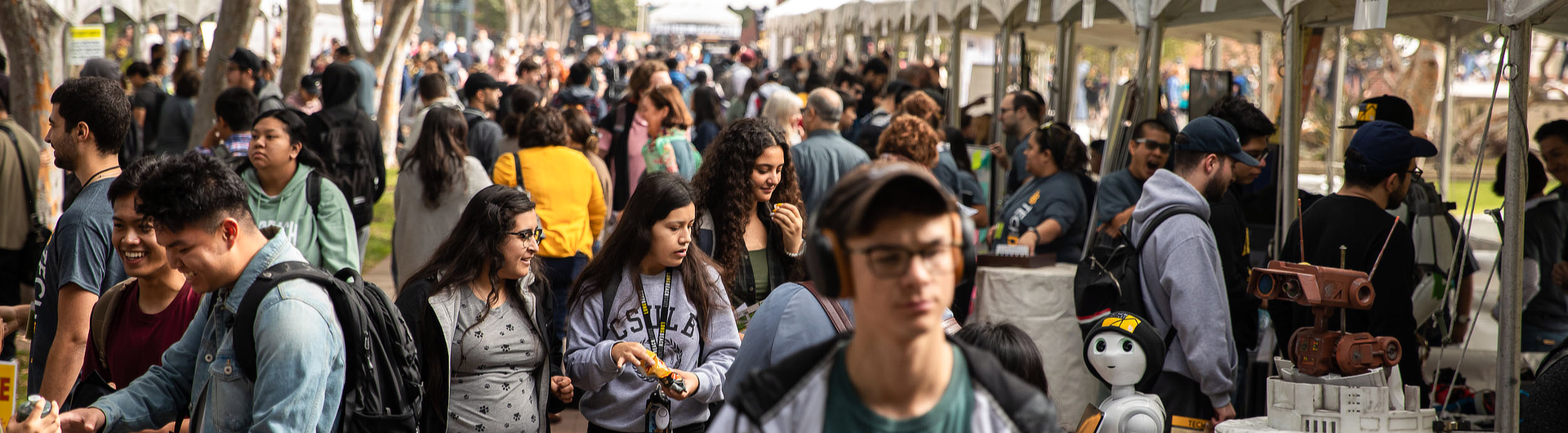 Students attending fair