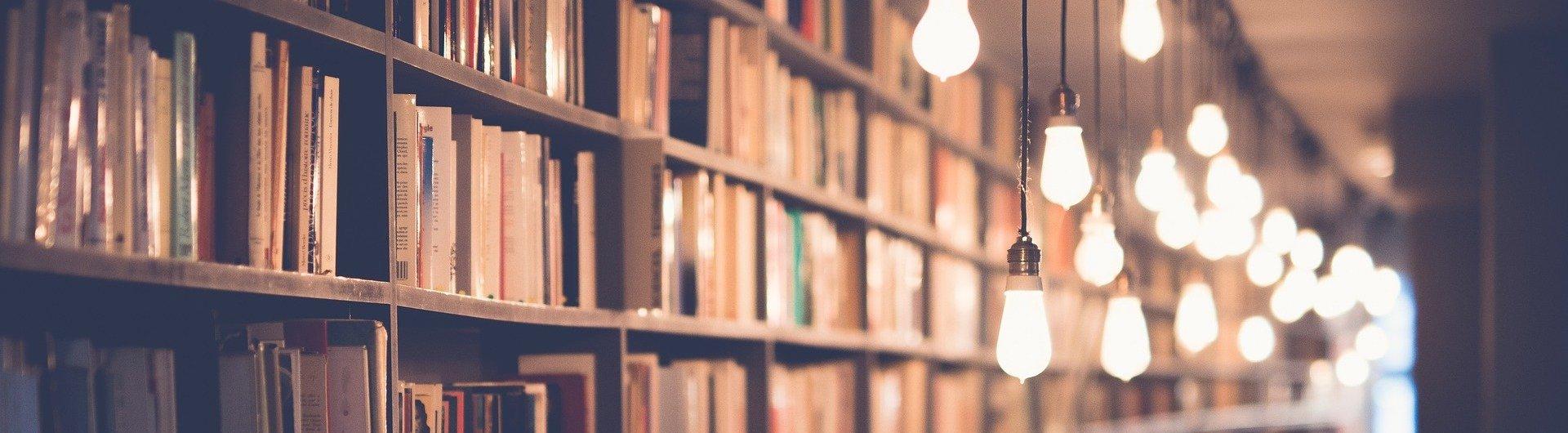 Bookcase with many books and retro-style lightbulbs hanging from ceiling