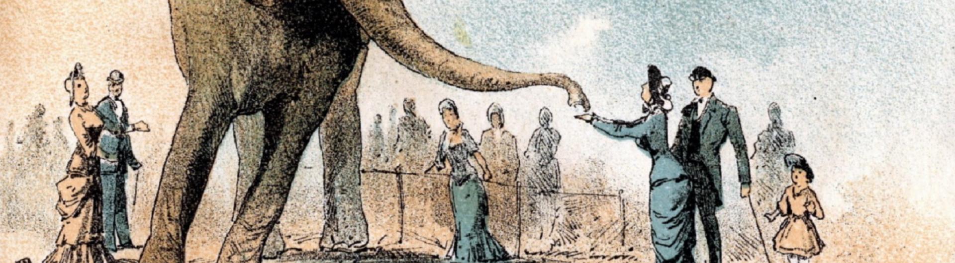 Circus Abuse Elephant reaching for a peanut Chained up