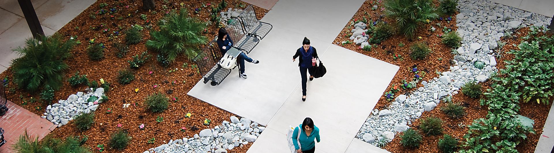 Students at the engineering courtyard