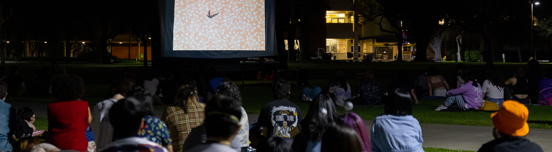 people sitting on grass watching outdoor film screening