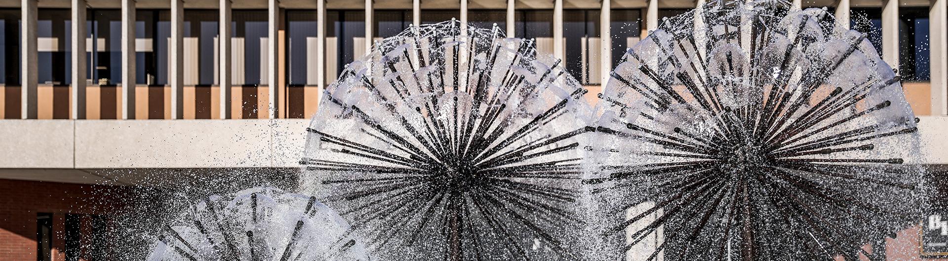 Brotman Hall Fountain