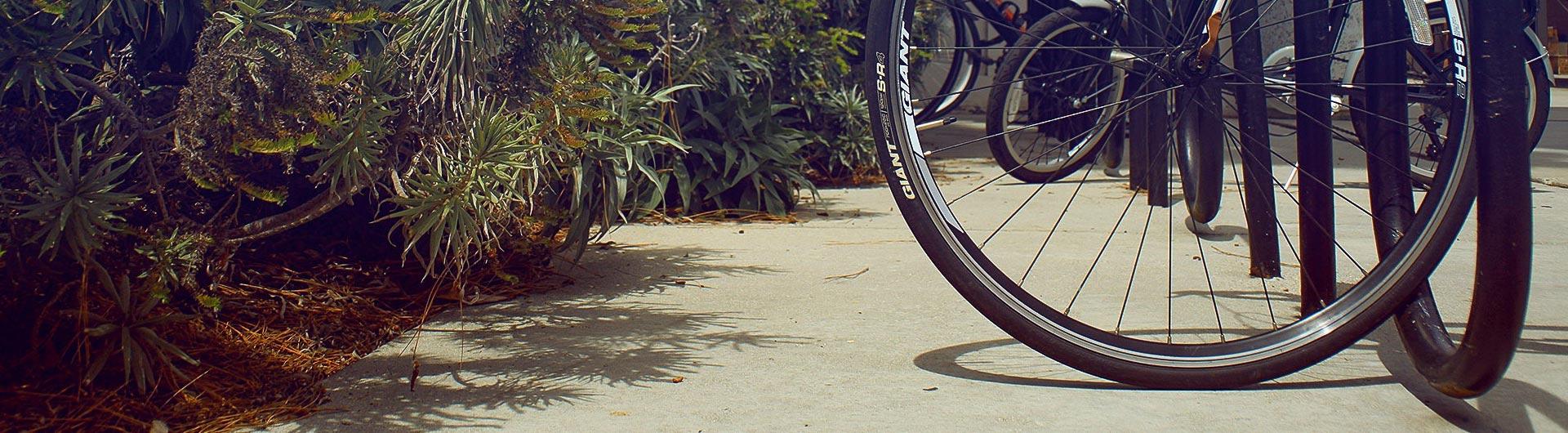 Bicycle parked on bicycle rack 