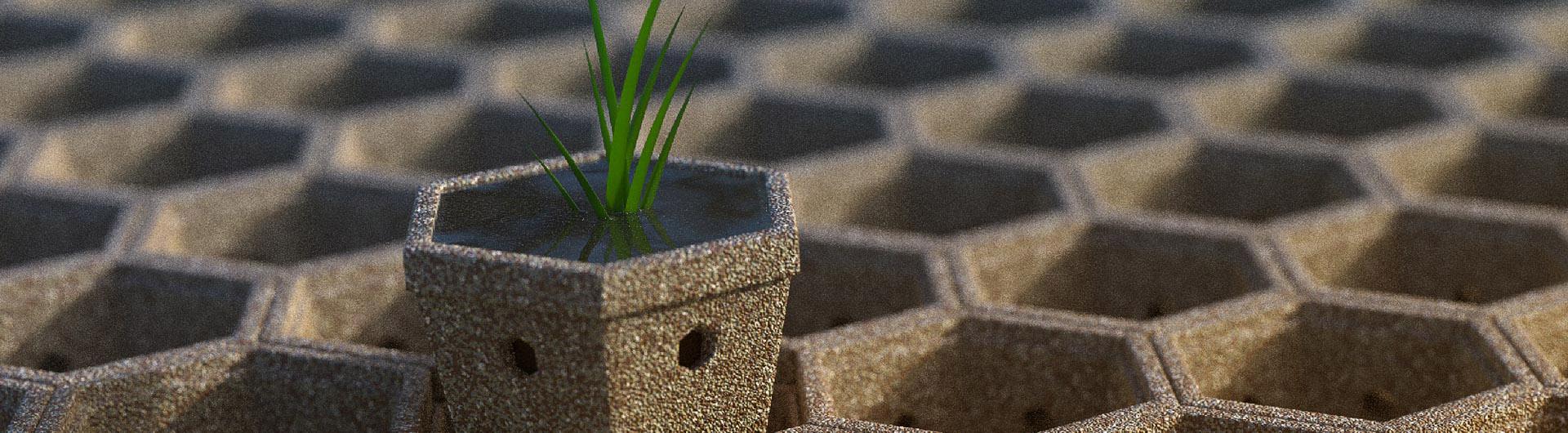 Three studentled teams among finalists in Biomimicry Challenge