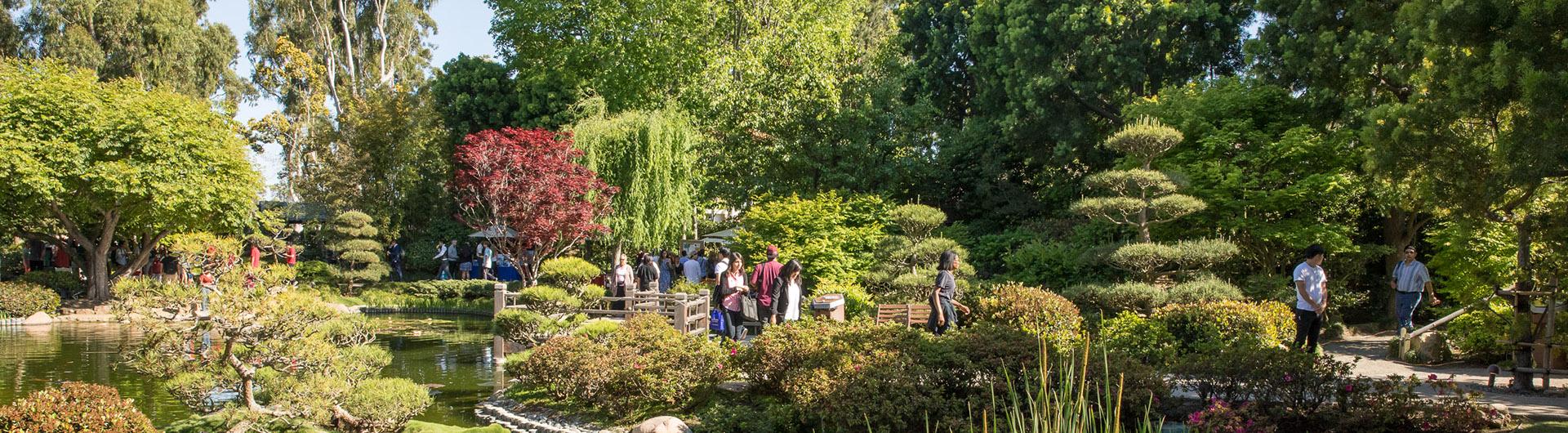 japanese garden