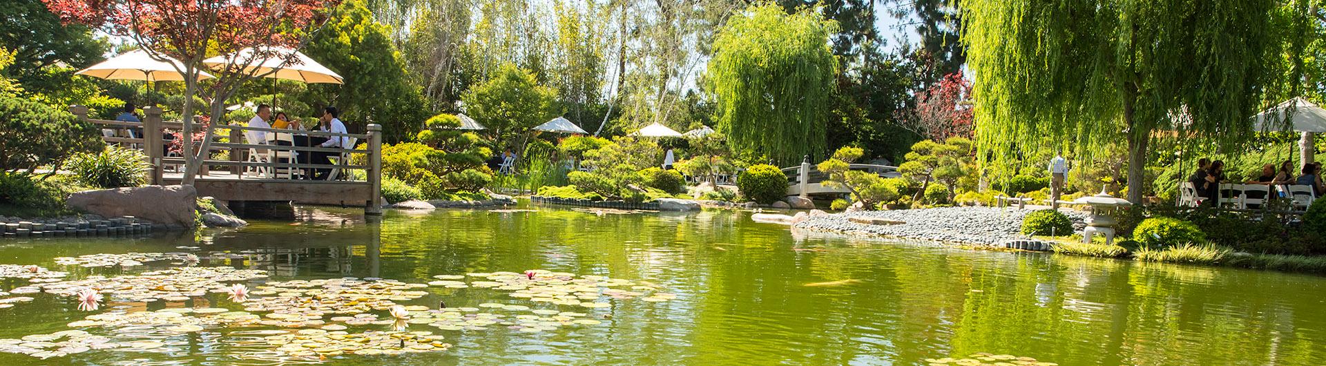 garden pond