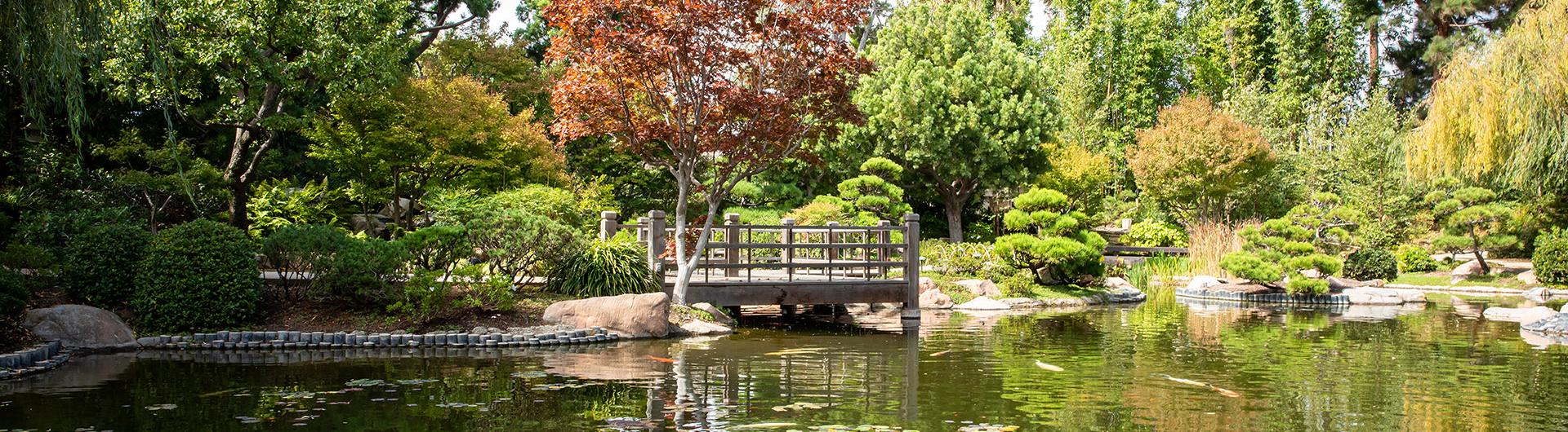 Photo of Japanese Garden pond and bridge