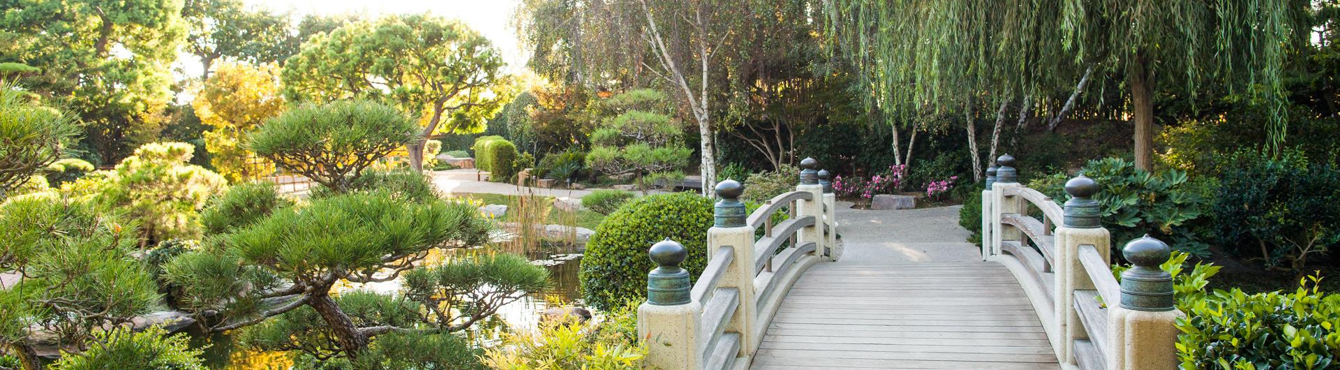 Japanese Garden bridge