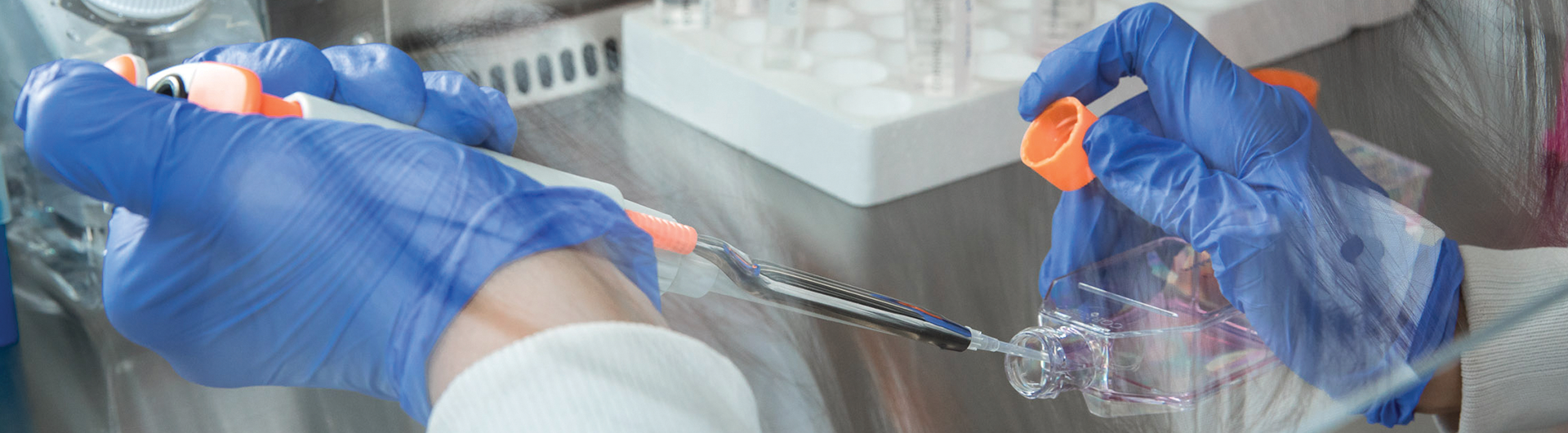 pipetting a liquid in a container