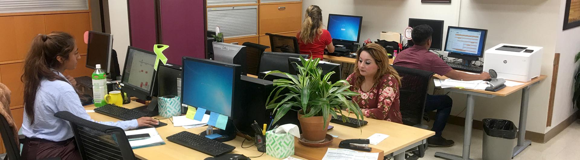 New summer interns working at the Center