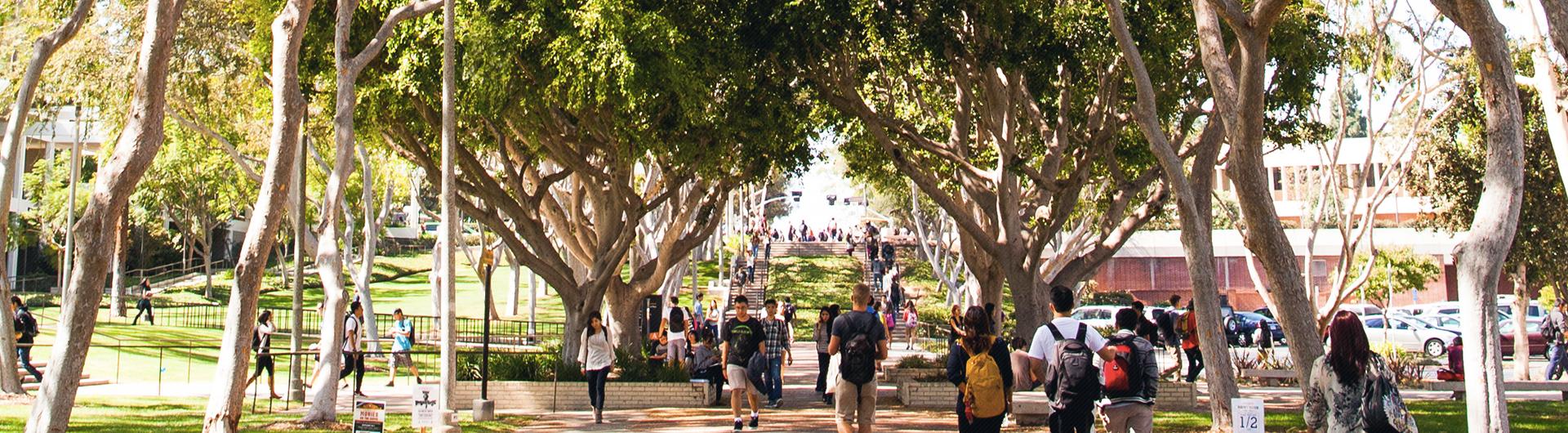 students walking on campus