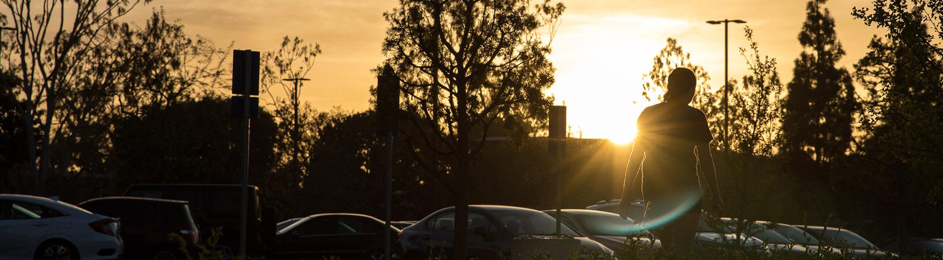 sunset on campus