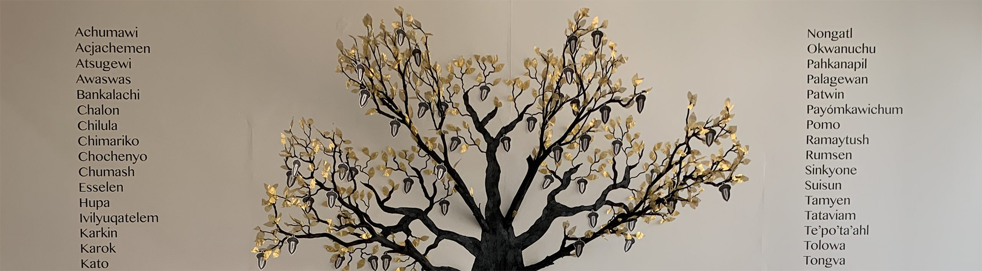 Gallery exhibit of a 3D tree with acorns