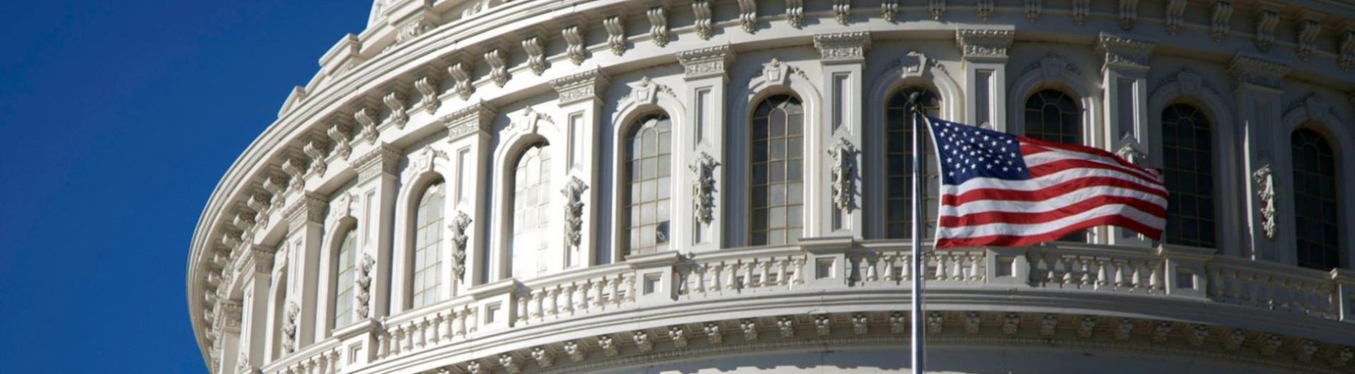 Capitol building United States and Flag 